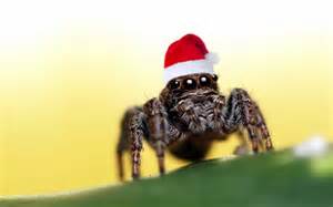 Christmas Tree Defender » What? Christmas Spiders Fact | Protecting our  loved pets and tree while safeguarding cherished holiday memories.
